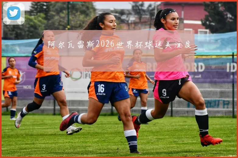 阿尔瓦雷斯2026世界杯球迷关注度