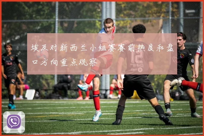 埃及对新西兰小组赛赛前热度和盘口方向重点观察