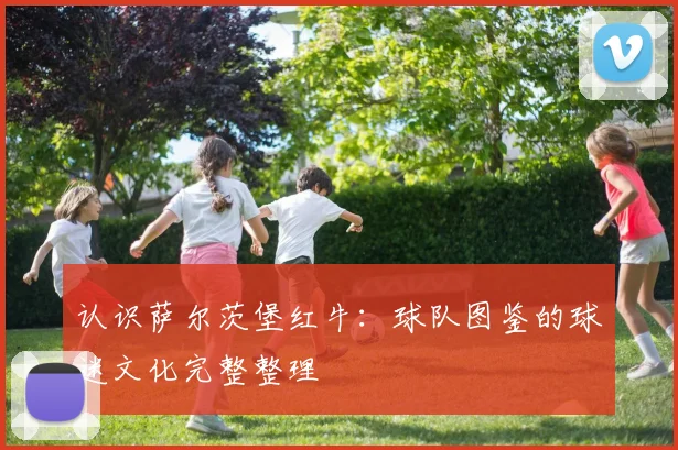 认识萨尔茨堡红牛：球队图鉴的球迷文化完整整理