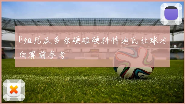 E组厄瓜多尔硬碰硬科特迪瓦让球方向赛前参考