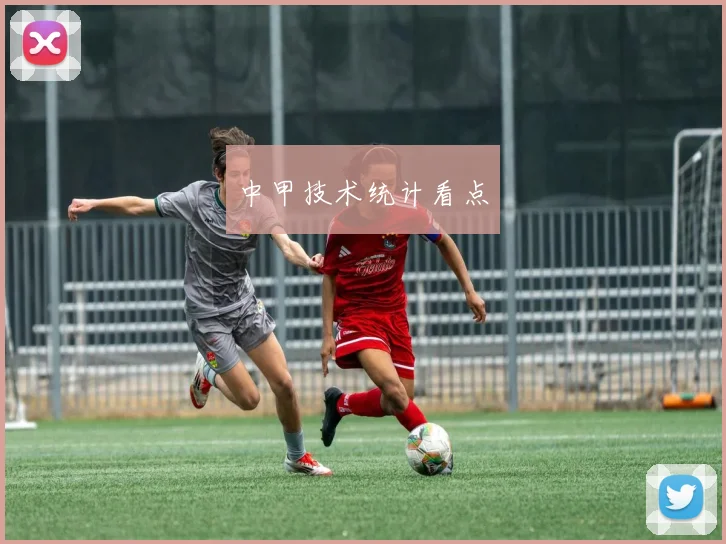 中甲技术统计看点