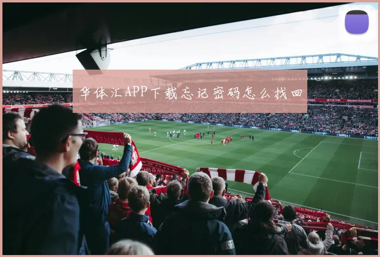 华体汇APP下载忘记密码怎么找回